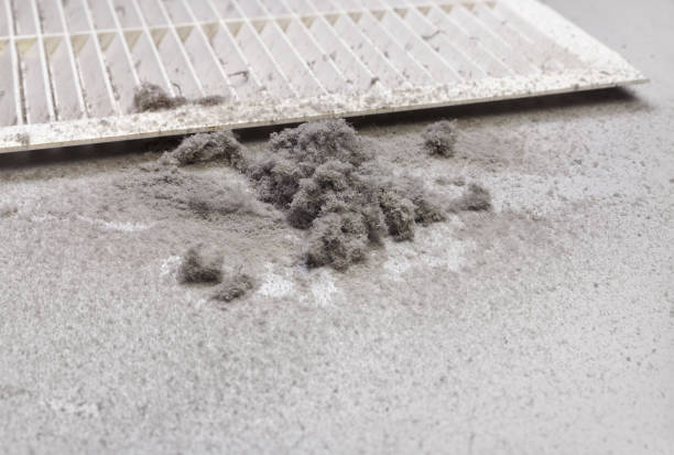 Best Air Duct Mold Removal  in Carlisle, PA